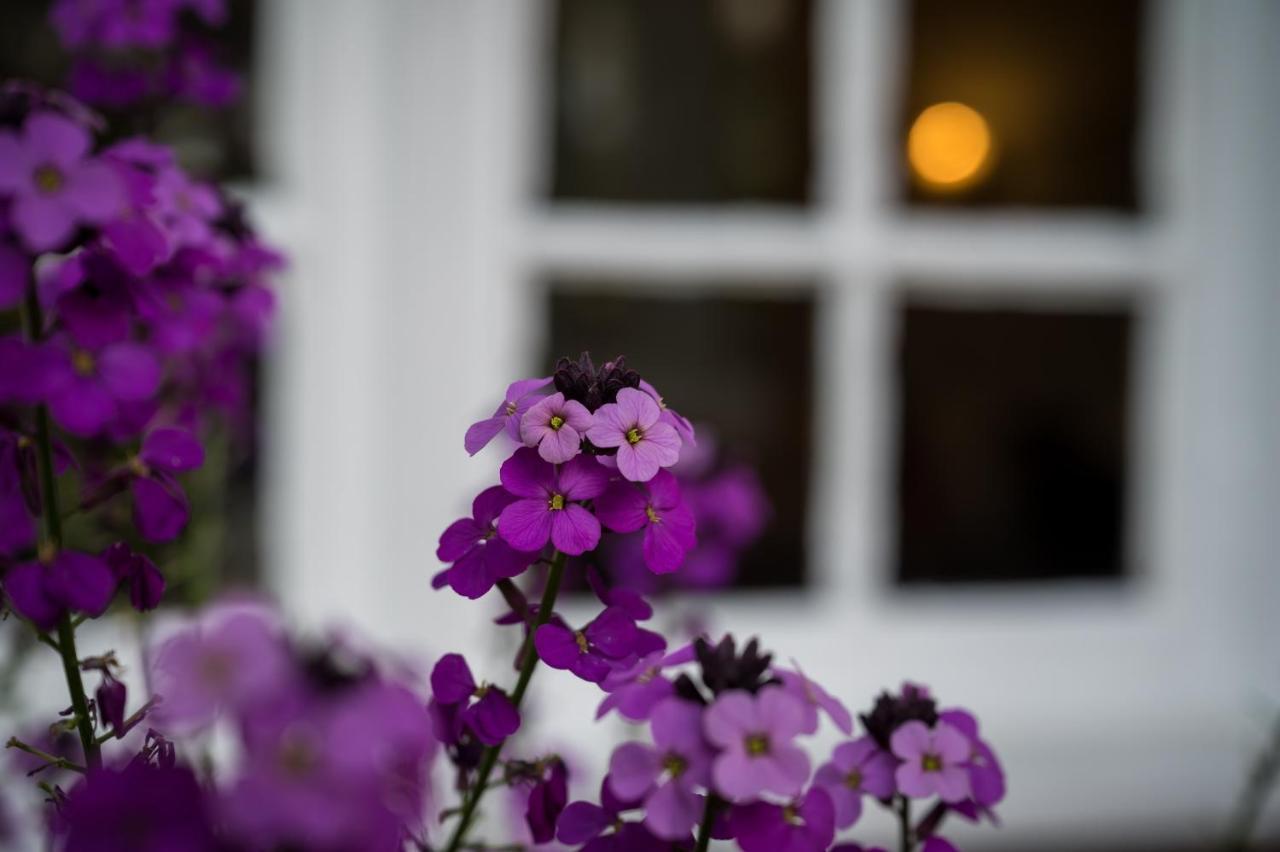 Findon Manor Hotel Exterior foto